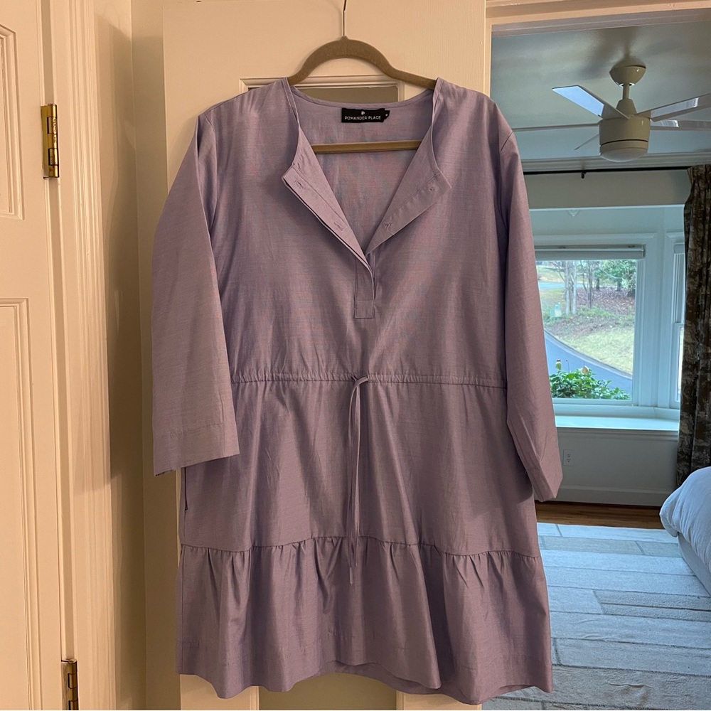 Pomander Place Blue Dress